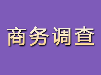 桓仁商务调查